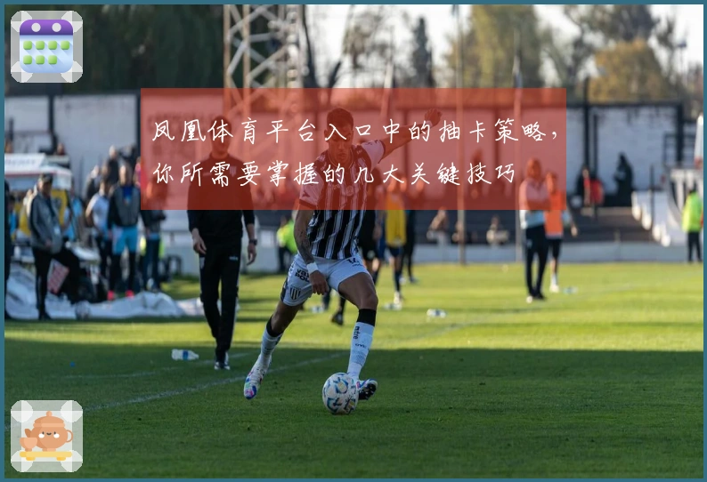 凤凰体育平台入口中的抽卡策略，你所需要掌握的几大关键技巧