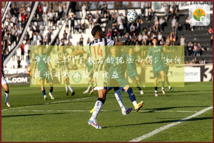 华体会APP下载后的玩法心得：如何提升游戏体验与收益