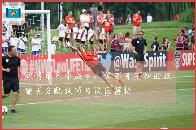 欧博角色养成中，你不可不知的技能点分配技巧与误区解析