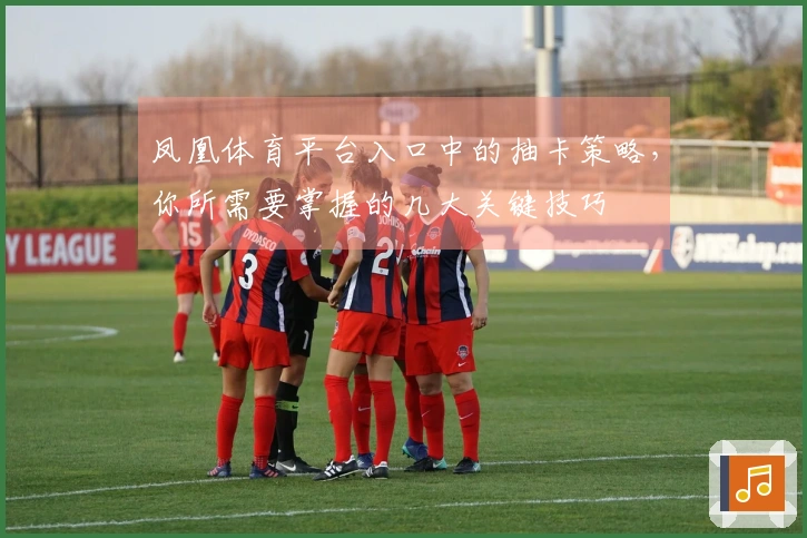 凤凰体育平台入口中的抽卡策略，你所需要掌握的几大关键技巧