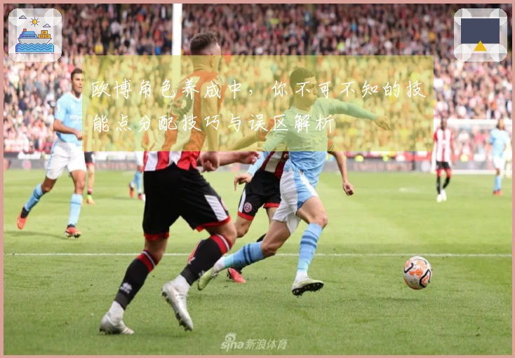 欧博角色养成中，你不可不知的技能点分配技巧与误区解析