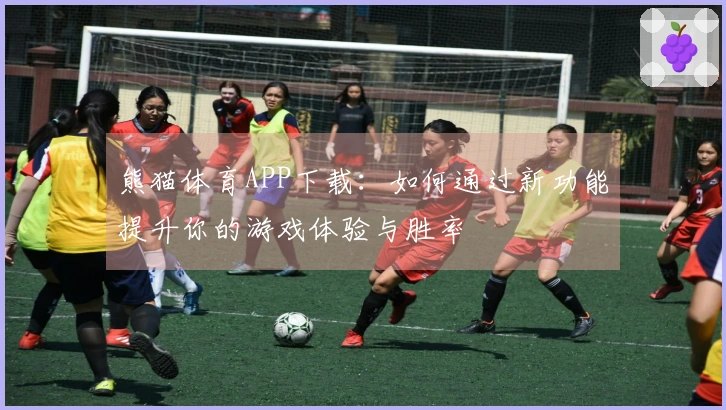 熊猫体育APP下载：如何通过新功能提升你的游戏体验与胜率