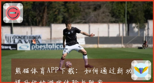 熊猫体育APP下载：如何通过新功能提升你的游戏体验与胜率